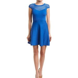 French Connection- Fit and Flare sweater dress